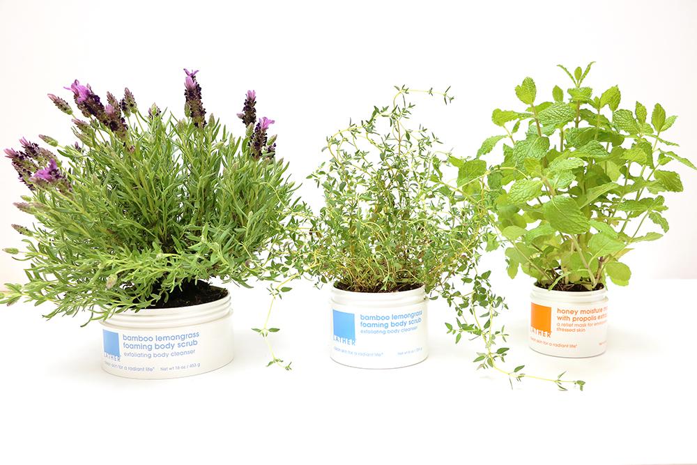 8 Ways To Help Mother Earth