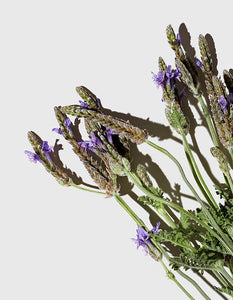 Avoiding Synthetic Fragrances In Your Cosmetics